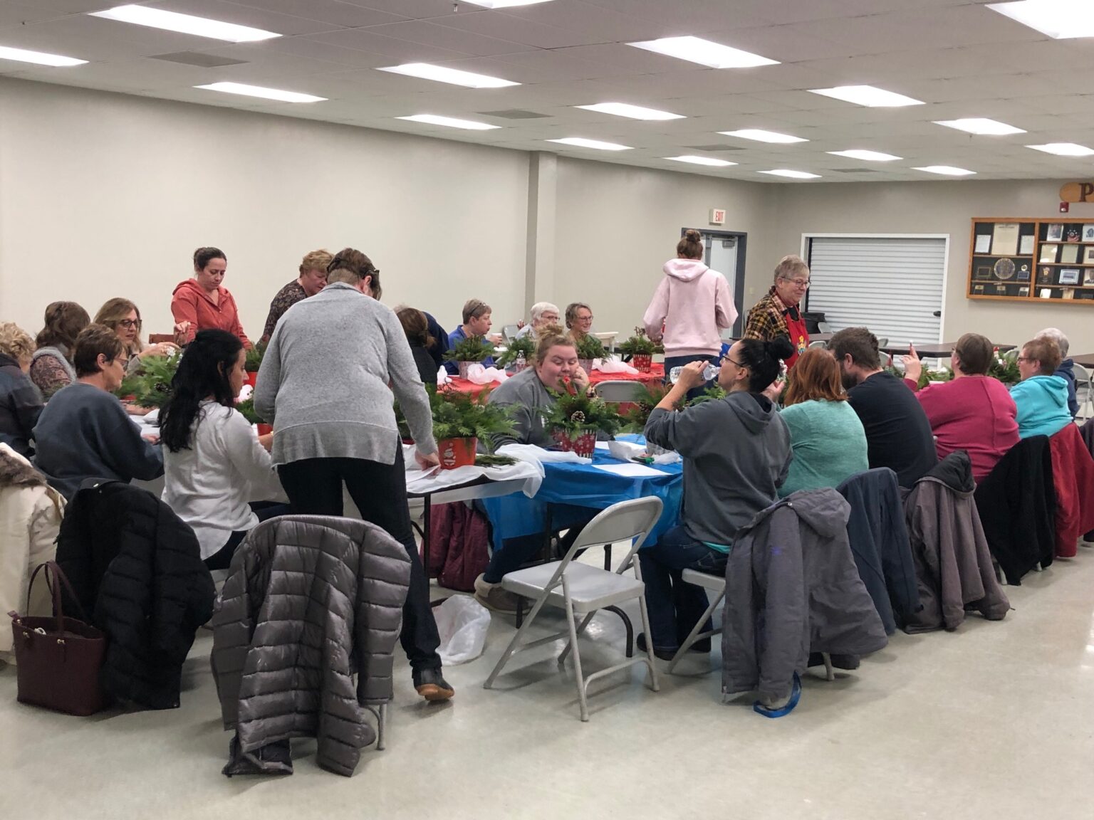 Graceville Public Library